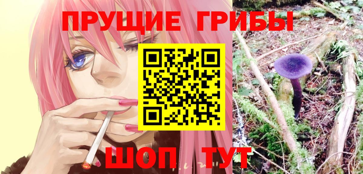 Кумертау  Псилоцибиновые грибы прущие грибы  Вход с VPN  Галлюциногенные грибы MAGIC MUSHROOMS 
