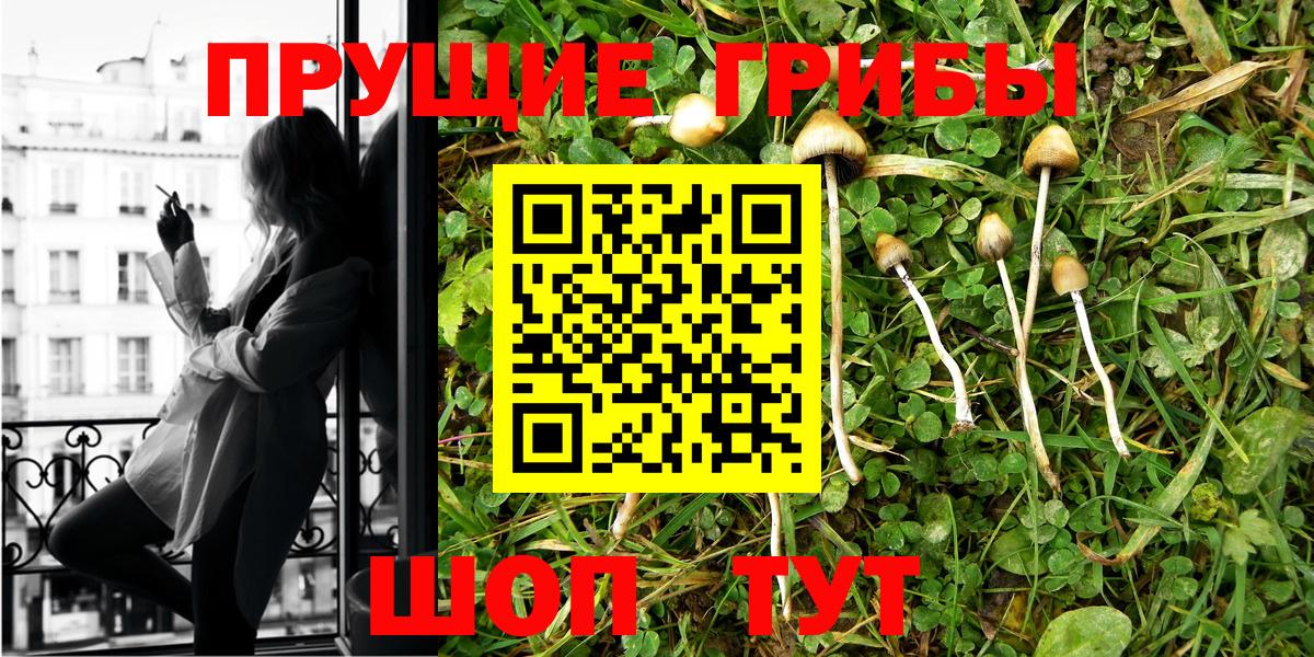 Псилоцибиновые грибы Psilocybe Кумертау